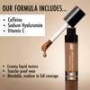 Black Radiance True Complexion™ Longwear Concealer Dark