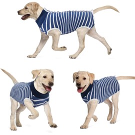Dog Recovery Suit Cats Bodysuits for Abdominal Wounds Recovery Shirt for Male Female Pet Surgical Snugly Suit After Surgery Anti-Licking Dog Onesies (Blue Stripe, XL)