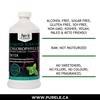 Liquid Greens Chlorophyll Activated Charcoal Mint 450ml - Balance pH,