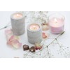 Müller Kerzen - Aromatic Art - Scented Tealights - Parent