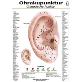 Ohrakupunktur Mini-Poster - chinesische Punkte DIN A4