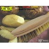 MAAJ Vegetable Brush and Mushroom Brush Set for Carrots, Vegetables,