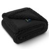 Waterproof Pet Blanket, Liquid Pee Proof Dog Blanket for Sofa