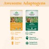 ORGANIC INDIA Calming Tulsi Ashwagandha Tea - Organic Tea Bags,