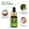 Old Tree Tea Tree Essential Oil for Skin, Hair and