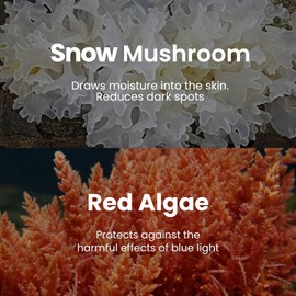 BLAQ Premium Under Eye Hydrating Patches for Dry Skin, Dark Circles and Puffiness. Snow Mushroom, Green Tea, Marine Algae, Vegan and Cruelty-Free, Snow Circles, 30-Pack