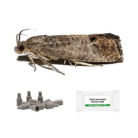 IPM Direct Pack of 3 Moth Trap Attractant Pheromones (Codling Moth)