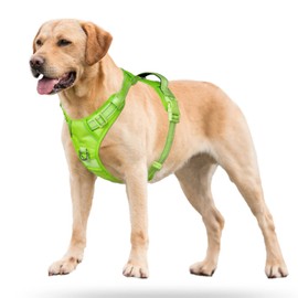 PoyPet No Pull Dog Harness, No Choke Reflective Dog Vest, Adjustable Pet Harnesses with Easy Control Padded Handle for Small Medium Large Dogs(Green Matching Trim,L)