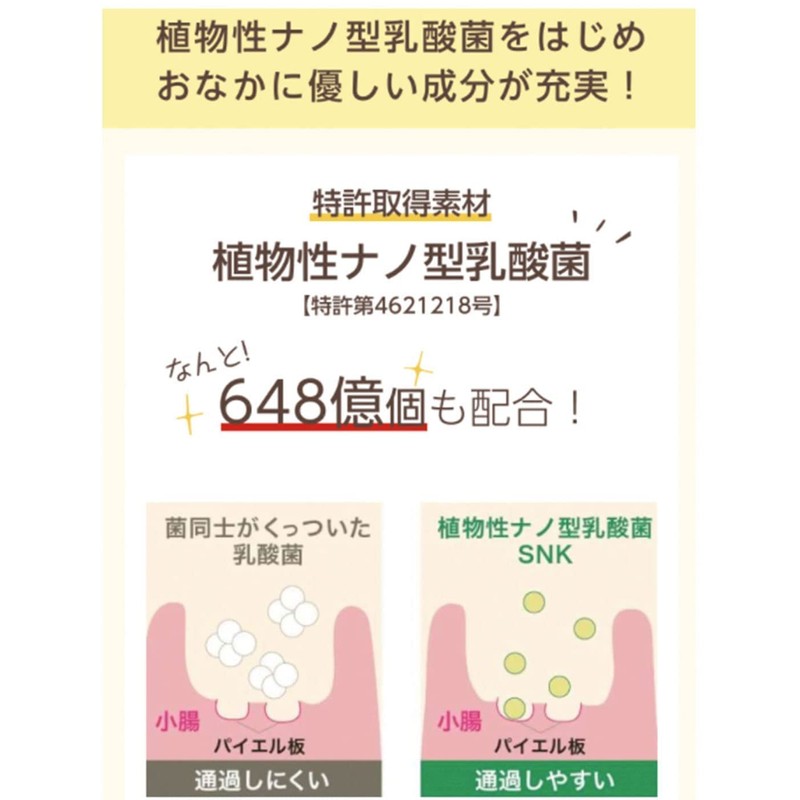 おなかちゅあぶる 子ども 幼児 乳酸菌 サプリ カルシウム オリゴ糖 【 植物性乳酸菌 648億個