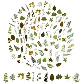 100Pcs Small Green Leaf Stickers Green Botanical Leaf Scrapbook Sticker, Nature Plant Stickers Aesthetic Plant Leaves Nature Greenery Sticker for Scrapbooking Envelope Planner Album Journal DIY Craft