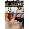 BABRO POMARD Hair Oil for Men & Mesh Comb Black