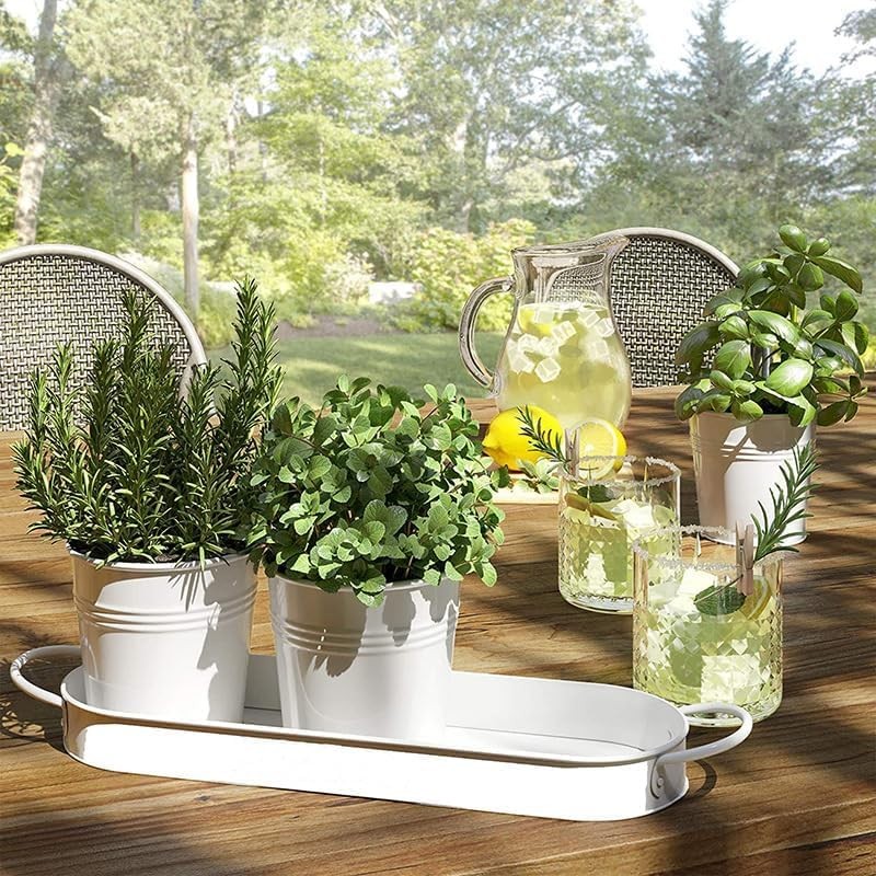 MoFarbe Herb Pots for Kitchen & Windowsill | Kitchen Herb