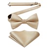 HISDERN Bow Tie Pre-Tied Men's Bow Tie with Pocket Square