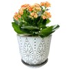 Gepege 6 Inch Beaded Ceramic Planter Set of 2 with