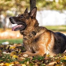 Collar táctico reforzado para perros grandes y extra grandes GOOPEET con asa de control resistente, acolchado suave de neopreno para mayor comodidad, 