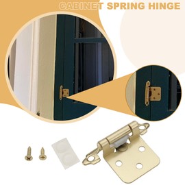 OTOTEC 2 Pairs Cabinet Spring Hinges with Screws Plastic Pellets Double Spring Door Hinge Thick 1.5 mm for Kitchen Bathroom Cabinet Doors