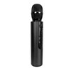 Bluetooth Karaoke Mic Dual 5W Speakers Clear Sound 2000mAh Battery