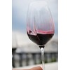 L'Atelier du VIN - Glass L'Exploreur Oenology - Technology Nervure
