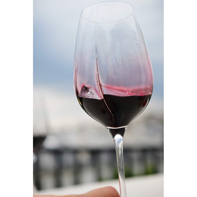 L'Atelier du VIN - Glass L'Exploreur Oenology - Technology Nervure