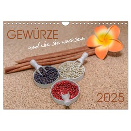Gewürze und wie sie wachsen (Wandkalender 2025 DIN A4 quer), CALVENDO Monatskalender [Calendar] Dwi Anoraganingrum