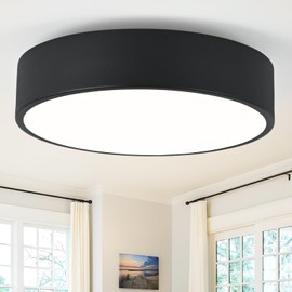 Wuyaio Modern Flush Mount 2-Light Round Black Ceiling Light Fixture, Minimalistic Acrylic Shade Lighting for Bedroom, Laundry Room, Foyer, Hallway (11.8")