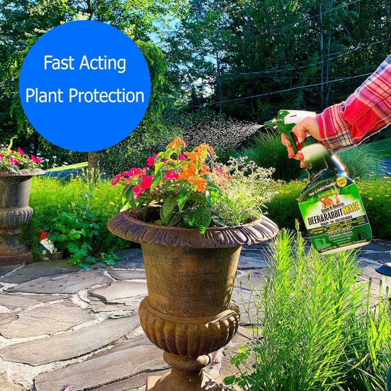 Nature's MACE Deer & Rabbit Repellent Sprays - Deer Repellent