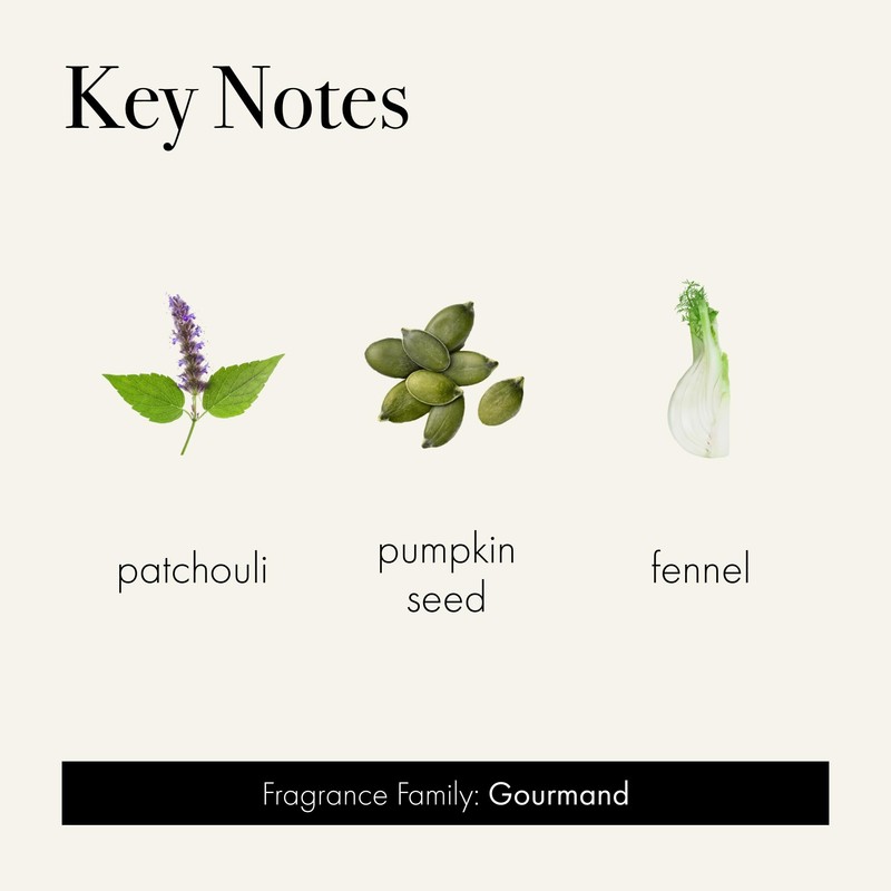 LAFCO New York Holiday Signature Candle, Pumpkin Seed & Sandalwood