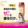 Salon de Pro Gray Hair Concealer Color Touch-up Light Brown