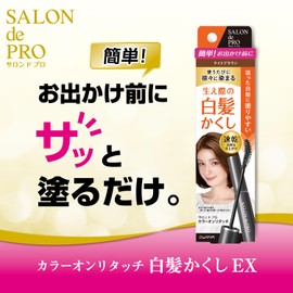 Salon de Pro Gray Hair Concealer Color Touch-up Light Brown