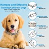 Safiman Classic Prong Training Collar for Dogs, Adjustable Dog Pinch