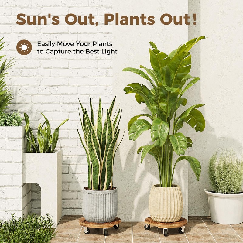 Bamworld Plant Caddy 12 Inch Wood Dolly with Drainage Tray