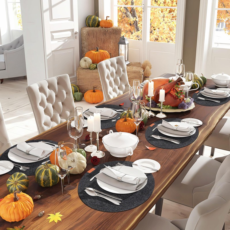 Tischset aus Filz 18er Set, 6 Tischsets Abwaschbar Platzsets rutschfest