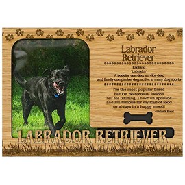 Labrador Retriever Engraved Wood Picture Frame Magnet