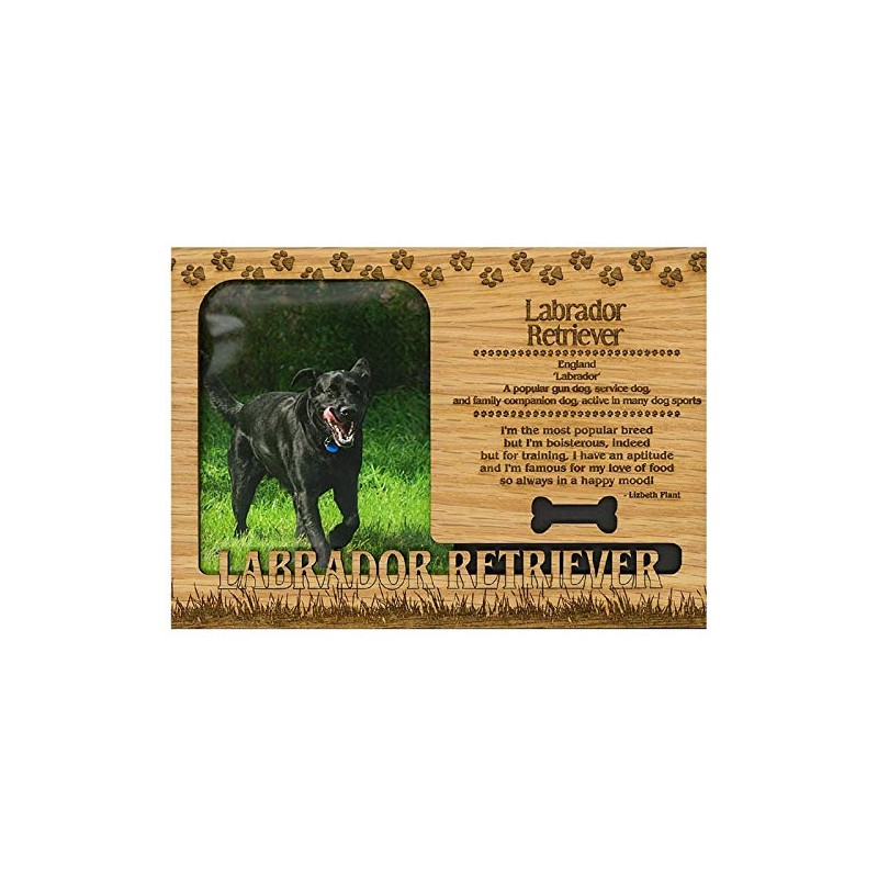 Labrador Retriever Engraved Wood Picture Frame Magnet