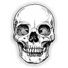 2 x 10cm/100mm Skull Vinyl Stickers Travel Luggage Horror Scary