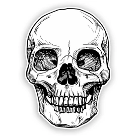 2 x 10cm/100mm Skull Vinyl Stickers Travel Luggage Horror Scary #7453