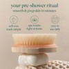 EcoTools, Dry Body Brush, Cepillo Ecológico para Exfoliar, Cepillos Corporales