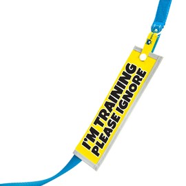 dogkit I'm Training Please Ignore Space Awareness Sleeve for Reactive Nervous Dogs, Reflective, Waterproof, Double Sided Slip-on for the Dog Lead (Yellow - Plain)