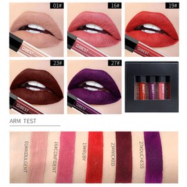 Mist Matte Nude Velvet Waterproof Long Lasting Non-Stick Cup Liquid 5 Color Lip Gloss Set