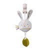 Taf Toys Music & Light Bunny Take Along Toy. Portable Baby Musical Hanging Toy. Newborn Sound Soother. Compact Travel Mobile. Easily Attaches to Pram. Suitable for Baby Boys & Girls from 0 Months