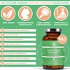 QIDOSHA Gotu Kola 60:1 Extract, with 40% Total Asian Cosides