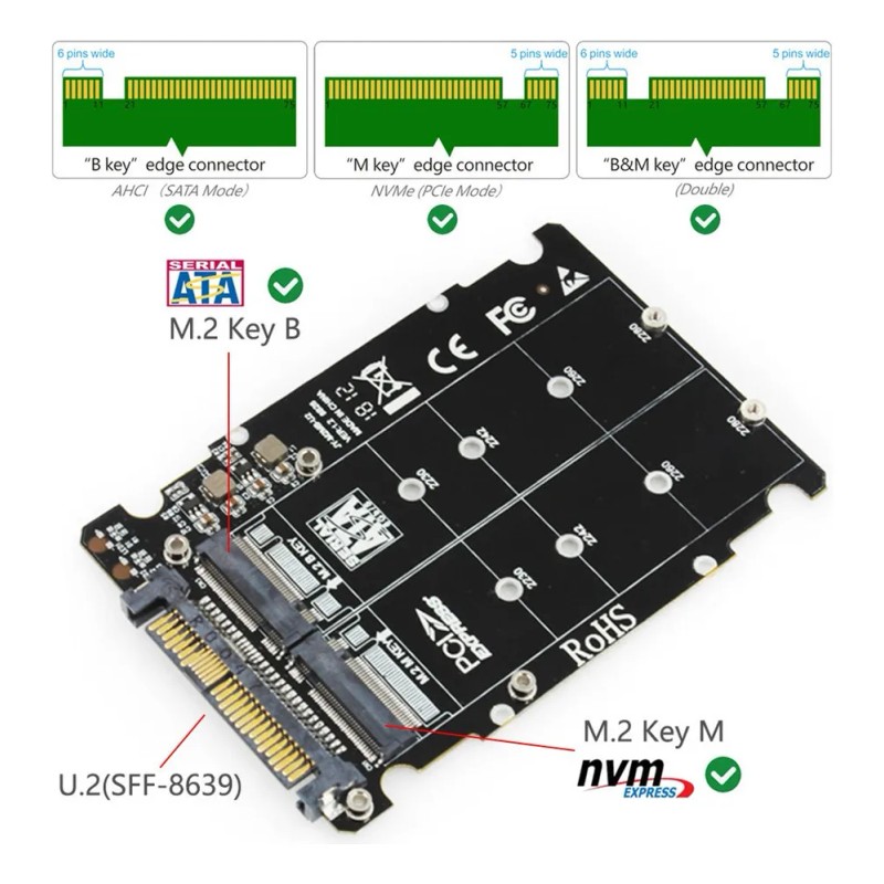L. Adaptador M.2 Sdd A U.2 2en1 M.2 Nvme Y