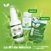 Natural Health Deomint Clorofila en Cápsulas Frasco con 30 Cápsulas