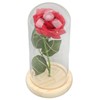 Rose in Glass Dome Lucky Beautiful Symbolism Romantic Enchanted Rose