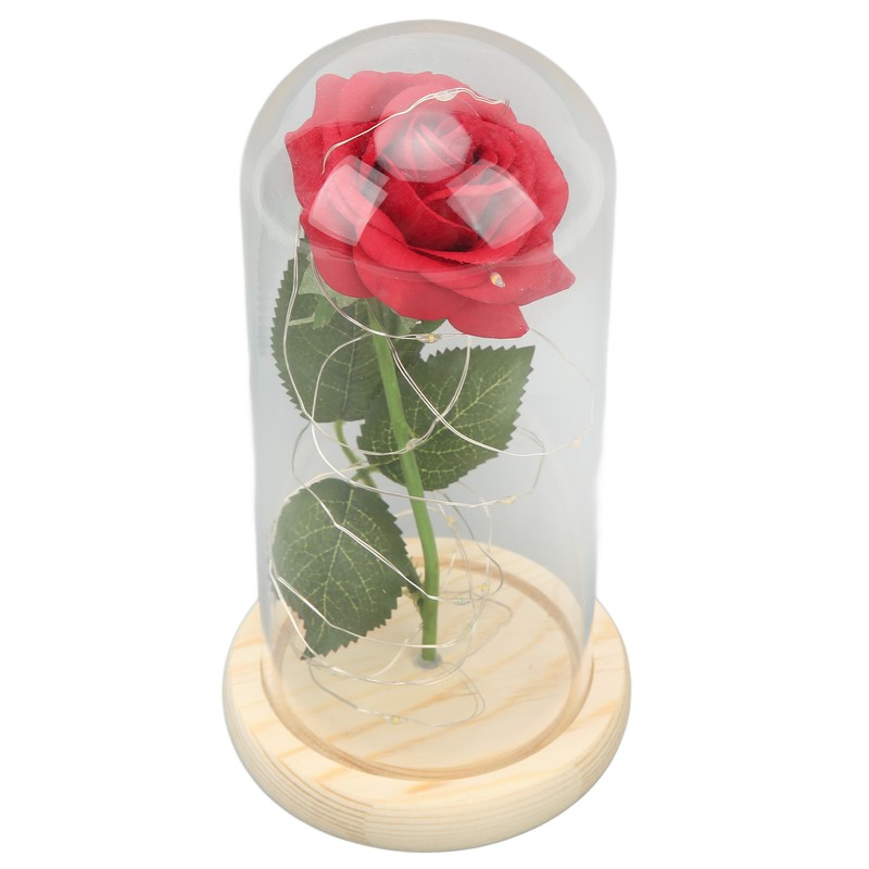 Rose in Glass Dome Lucky Beautiful Symbolism Romantic Enchanted Rose