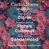 Scented Mop Soap - Floor Cleaner for Home - Hotel