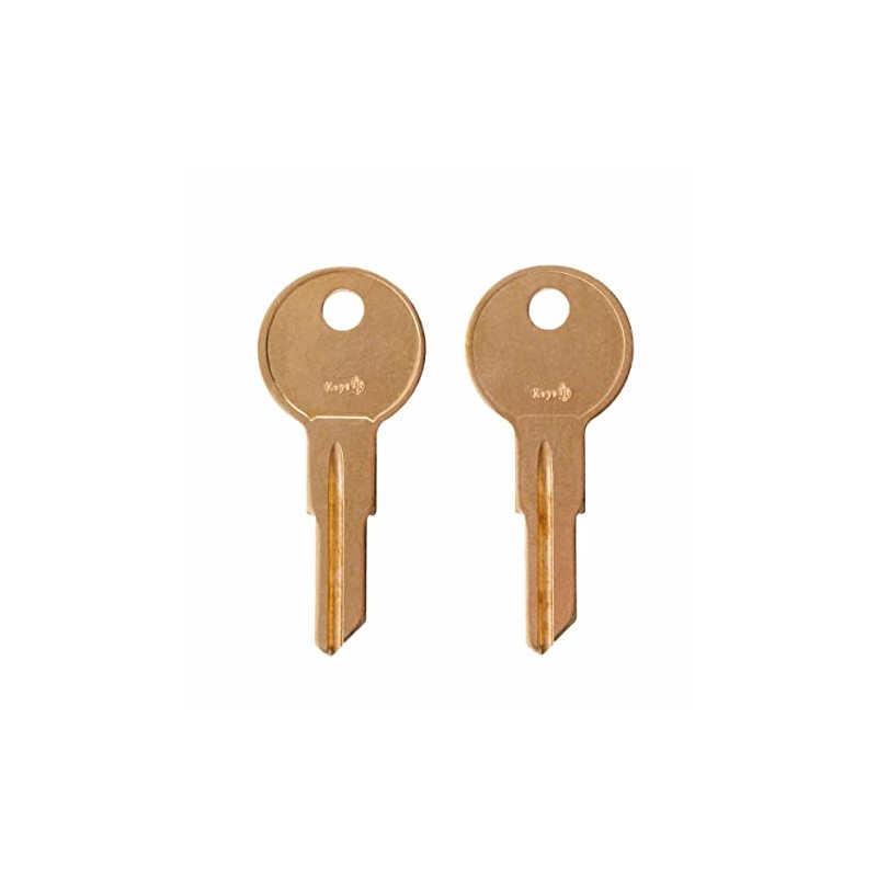 KEYS22 CH510 Pair of 2 Replacement Keys for Locks with