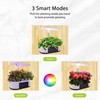 Agrestem Hydroponics Growing System,12 Pods Hydroponics Growing System Indoor Garden