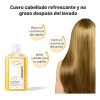 Champú Anticaída Quarxery Shampoo De Jengibre 240 Ml