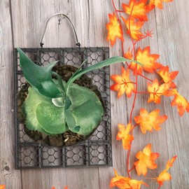 Dranvosk Staghorn Fern Mounting Board Hanging Wall Planter Plant Holder Plant Holder for Plants, Garden Home Decor, Indoor Outdoor Use(27 * 21CM)